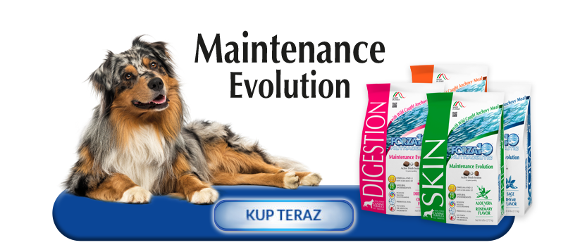 Kup teraz produkty z linii Forza10 Maintenance Evolution Line dla psów
