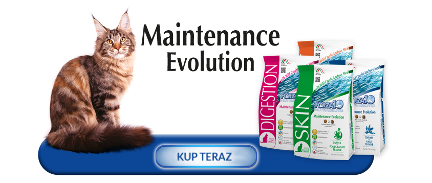 Kup teraz produkty z linii Forza10 Maintenance Evolution Line dla kotów