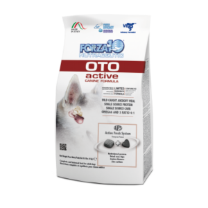 forza10-oto-active - Forza10 PL