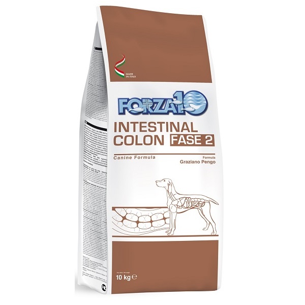 Forza10 Intestinal Colon Fase 2